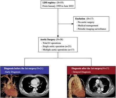 Impact of early diagnosis on surgical outcomes in patients with Loeys-Dietz syndrome